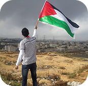Person holding a Palestinian flag overlooking a city.